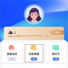 个人所得税APP受聘单位被冒用如何处理
