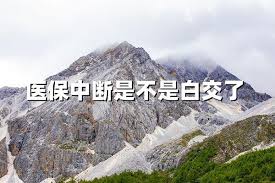 医保断缴 3 个月后续缴多久恢复报销