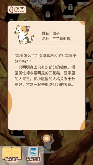 猫宅971