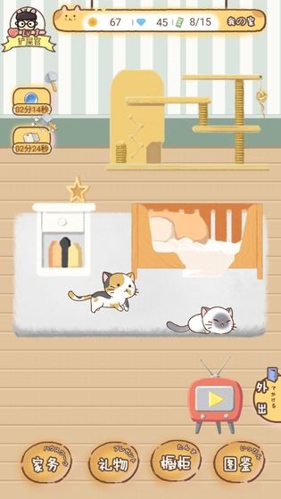 猫宅972