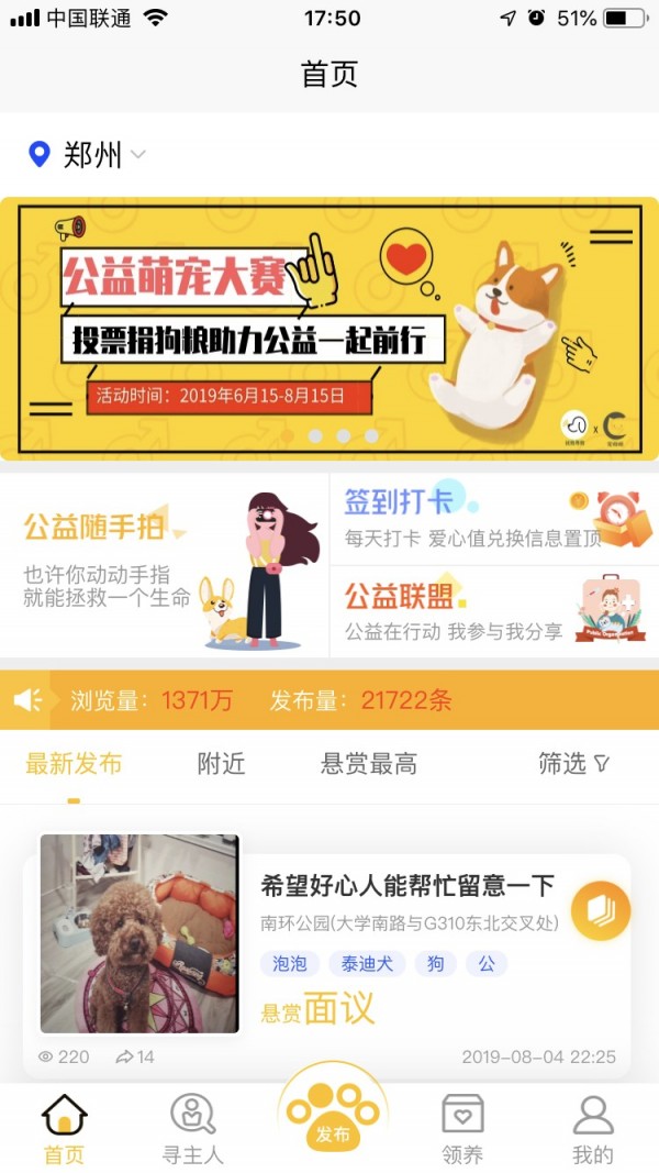 找狗寻狗2