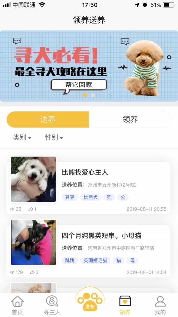 找狗寻狗4