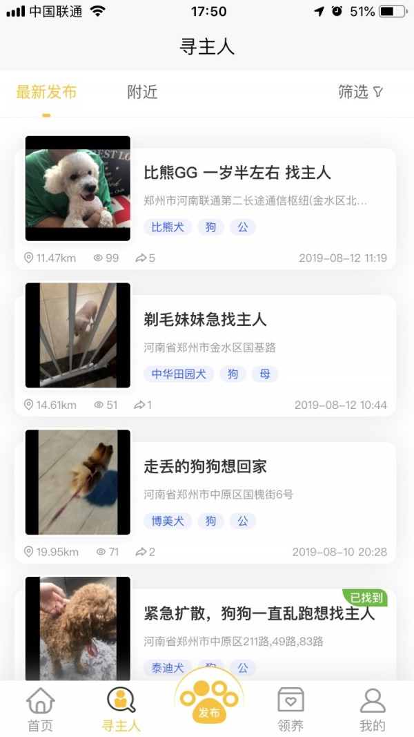 找狗寻狗5