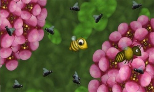 爱吃花蜜的小虫子2
