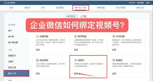如何查找视频号评论回复记录