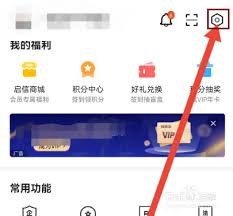 启信宝如何开通会员
