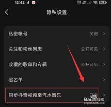 抖音视频同步汽水音乐怎么关闭