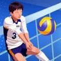 单挑排球官网版