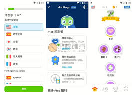 如何利用多邻国学习英语
