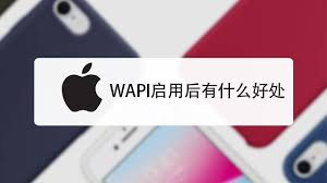 苹果手机中wapi是什么意思