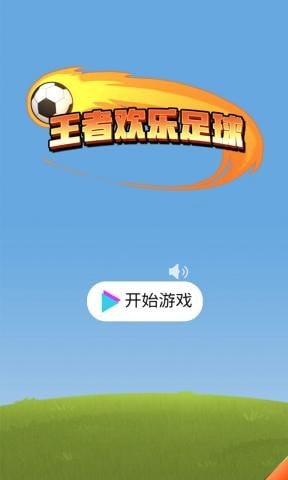 王者欢乐足球1