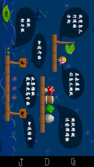 奔跑吧小鸟2