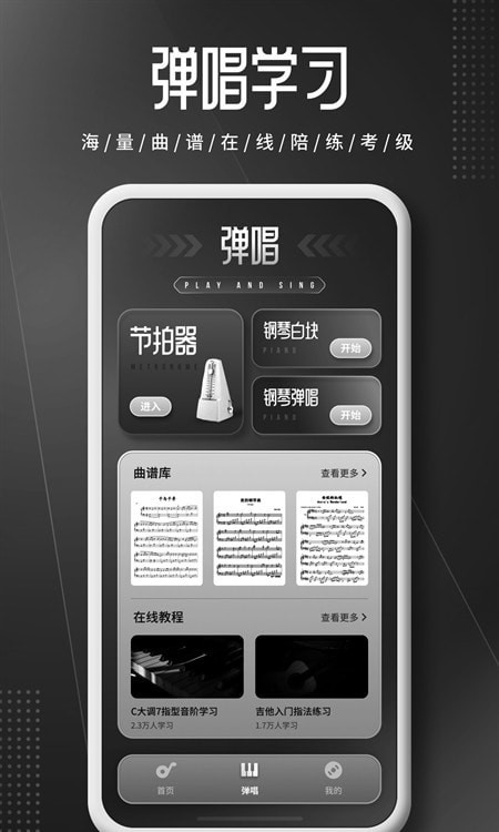 钢琴师Piano2