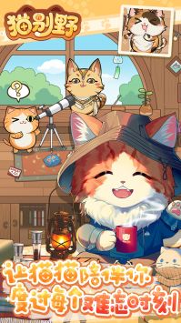 猫别野4