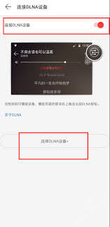 网易云音乐dlna功能在哪