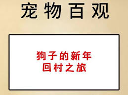 百观app消费券在哪里看