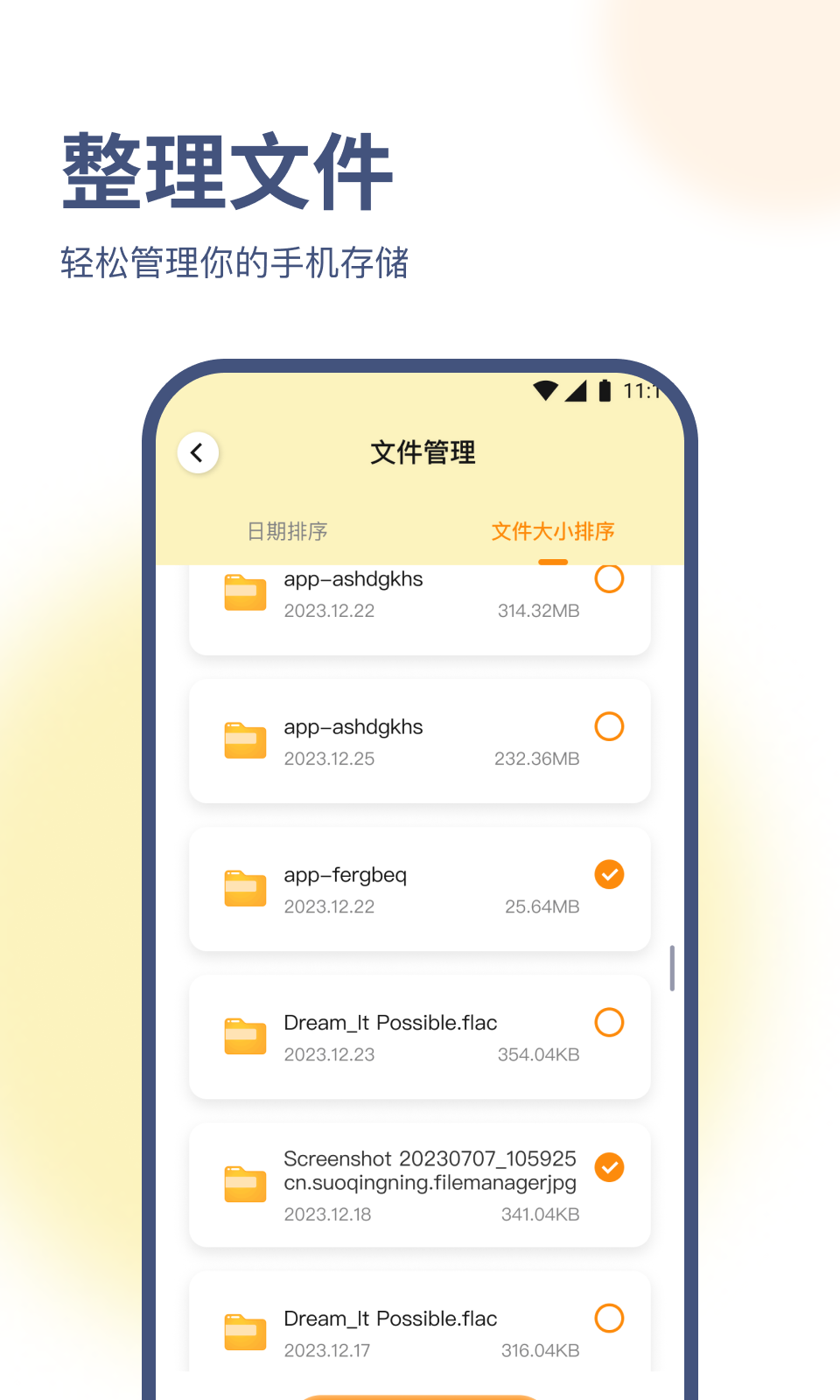 随心优化专家官方版2