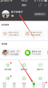 爱奇艺如何设置主设备