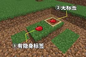 我的世界隐形展示框指令是什么