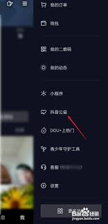如何进入抖音公益平台
