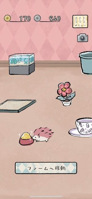 刺猬养成app2