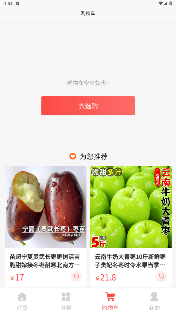 冬枣1