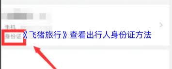 飞猪如何查看乘机人身份证号码