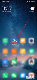 支付宝如何出示芝麻证