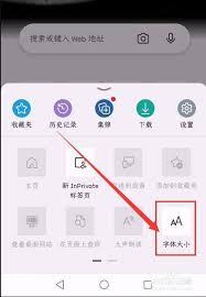 edge如何调整字体大小