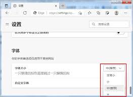 edge如何调整字体大小