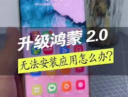 鸿蒙系统怎样解除恶意软件安装限制
