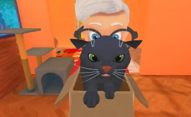 我是猫