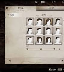 上古卷轴4：湮灭重制版捏脸代码有哪些