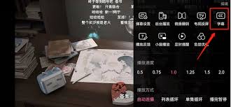 B站无障碍功能字幕怎么设置