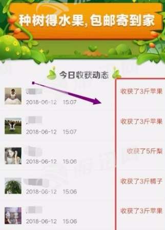 多多果园下载3