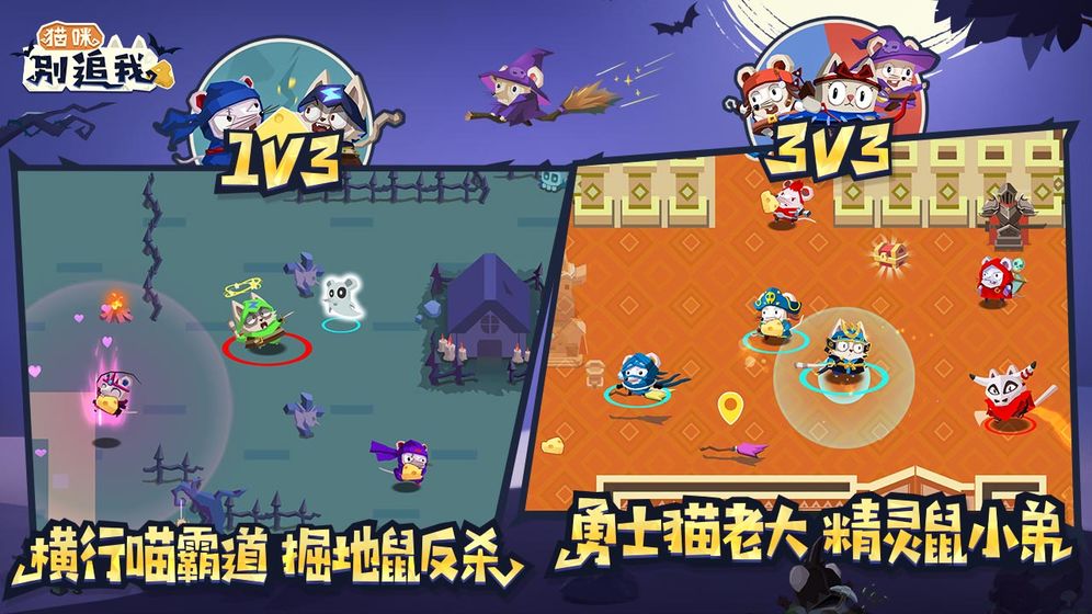 猫咪别追我1