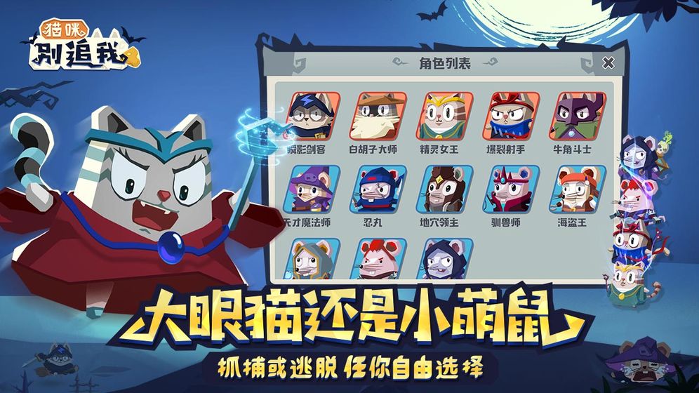 猫咪别追我5