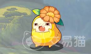 洛克王国世界菊花梨技能有哪些