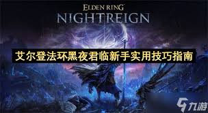 艾尔登法环黑夜君临公式化对局流程是什么