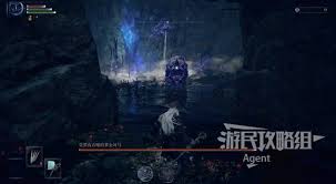 艾尔登法环黑夜君临公式化对局流程是什么