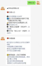 哈尔滨智慧人社养老保险如何认证
