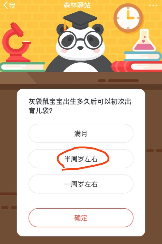 灰袋鼠宝宝出生多久后可以初次出育儿袋？微博森林驿站8月18日今日答案