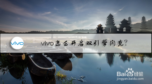 vivo手机怎么设置双引擎闪充功能