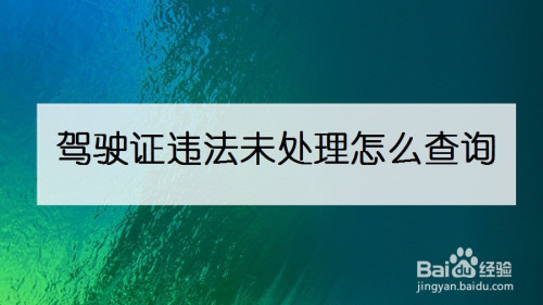 支付宝怎么查询驾驶违规罚单