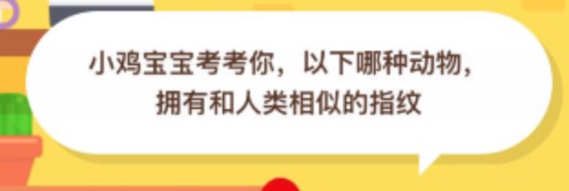 以下哪种动物拥有和人类相似的指纹？支付宝蚂蚁庄园2020年8月23日答案