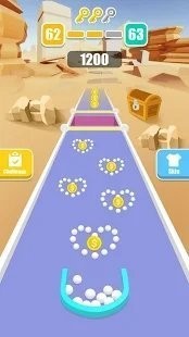 pickercleaner1