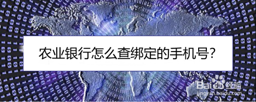 农业银行app如何查询个人移动电话信息