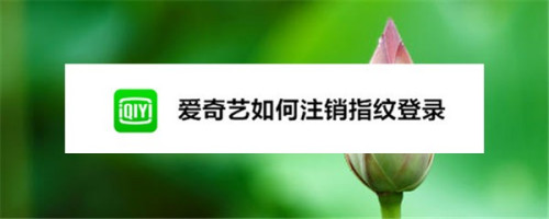 爱奇艺如何关掉指纹登录