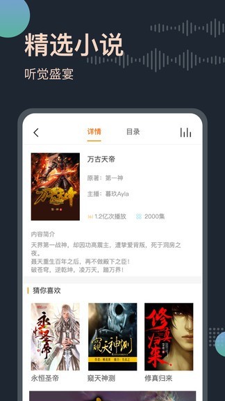 恋听网听书2