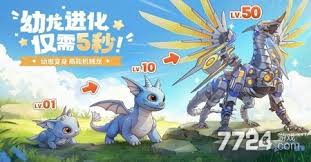 龙骑士学园中龙骑士怎么选